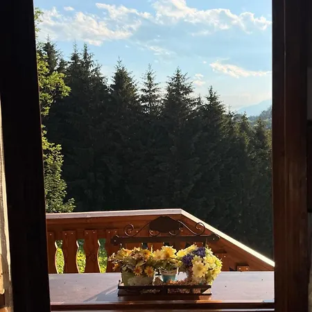 Con Splendida Vista Appartement *